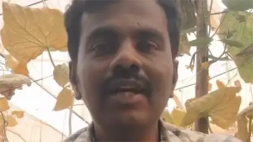 Praveen 